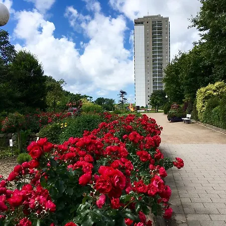 Kleine Meerjungfrau At בוסום